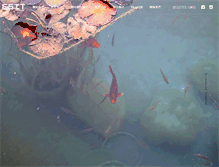 Tablet Screenshot of esit.com.tw